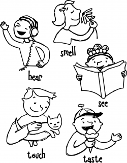 The Five Senses Coloring Pages# 2750841