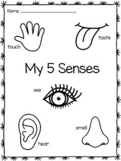 Five Senses Coloring Pages | School