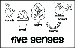 The Five Senses Coloring Pages# 2750841