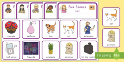 Five Senses Matching Cards - All About Me, Five Senses, See