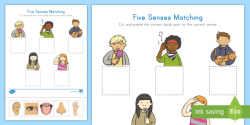 Five Senses Matching Worksheet / Activity Sheet - All About Me