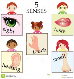 28+ Collection of 5 Sense Organs Clipart | High quality, free ...