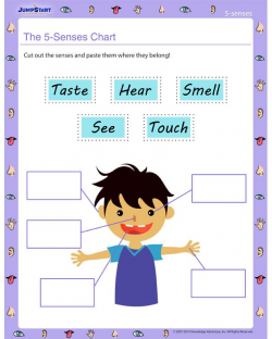 69 best 5 senses images on Pinterest | Preschool, Teaching science ...