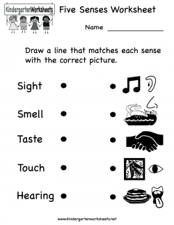 Kindergarten Five Senses Worksheet Printable | Teaching Ideas ...