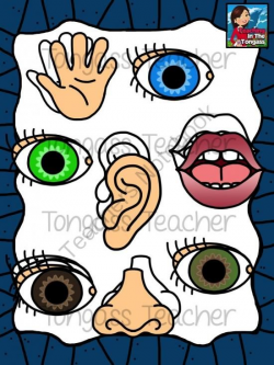 Five Senses Clipart from tongassteacher on TeachersNotebook.com ...