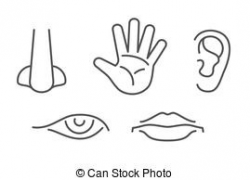 5 Senses Clip Art Free Five Senses Body Parts Five Senses ...
