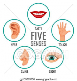 Clip Art Vector - Five senses of human perception poster ...