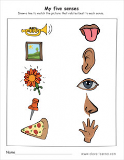 The five senses worksheets for preschools