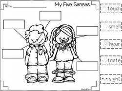 221 best Five Senses Theme images on Pinterest | Preschool, Kid ...