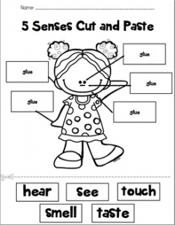 Five Senses Labeling Cut and Paste by PreKinders in Paradise | TpT