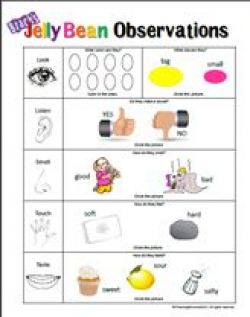102 best Classroom: All about me and 5 senses images on Pinterest ...