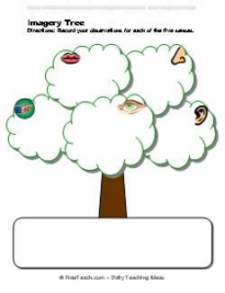 Imagery Tree Observation Organizer - Freeology