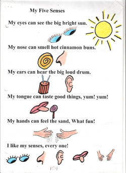 Poem no. 4: My Five Senses | Poem, Learning centers and School