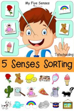 5 senses Activity Preschool Learning About Senses Science ...
