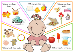 Five Senses Poster by Toyahah - Teaching Resources - Tes