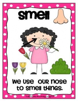 5 Senses Poster Set- FREE DOWNLOAD! | #Preschool Theme/ AAM 5 Senses ...