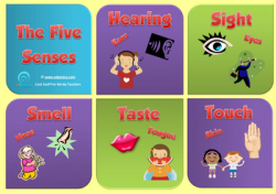Five Senses Posters by Innovative Teaching Ideas | TpT