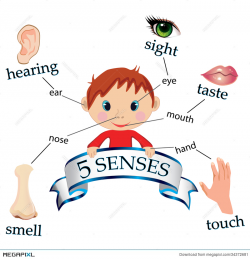 5 Senses Illustration 34372681 - Megapixl