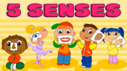 Five Senses: Taste, Smell, Sight, Hearing, Touch - Quiz for Kids ...