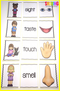 Five Senses | Homeschooling: Preschool | Senses preschool ...