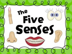 Five Senses Unit | Rhyming words, Flip books and Common core standards