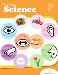 Five-Sense Science | Workbook | Education.com