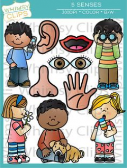 FREE-Exploring-Our-Five-Senses-Anchor-Charts-2044239 Teaching ...