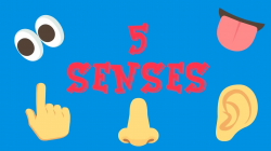 Five Senses - Can you?