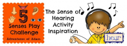 The Sense of Hearing - Activity Inspiration