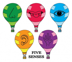 How to use the five senses for thrilling descriptions | Ride the Pen