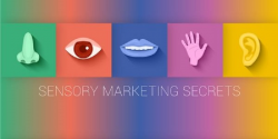 Include sensory marketing in your communication strategy