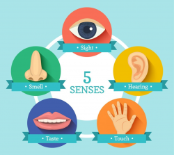 Engaging the Five Senses in Event Planning - Endless Events