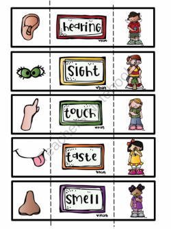 Preschool Printables: 5 senses | Kindergarten ~ senses | Pinterest ...