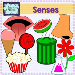 Five Senses clipart - Sight, taste, touch, smell, hear {Science clip ...