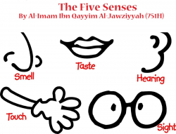 The Five Senses By Imam Ibn Qayyim Al-Jawziyah (751H) | The Abu ...