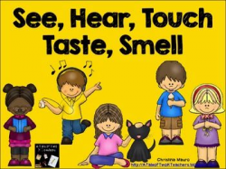 117 best 5 Senses images on Pinterest | Preschool activities ...