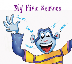 Teaching Children About The Five Senses | Sing Laugh Learn