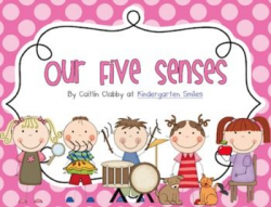 35 best Teaching: Five Senses Unit images on Pinterest | 5 senses ...