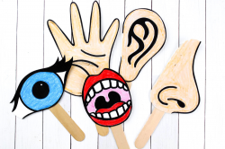 Download These Free Printable 5 Senses For Kids Puppets To ...