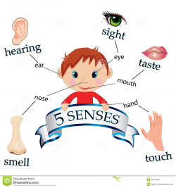 image of kids five senses - - Yahoo Image Search Results | Book ...