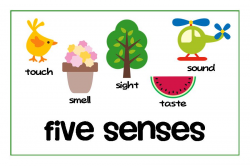 5 Senses Clipart | Clipart Panda - Free Clipart Images