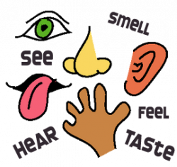 Five Senses Clipart | Free download best Five Senses Clipart on ...