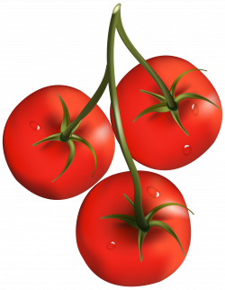 Tomato PNG images free download
