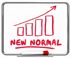What is Normalization? - A Guide to Financial Statement Adjustments