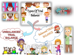 Accounts project on Ledger and Trial Balance