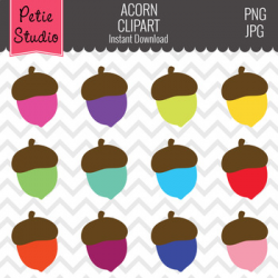 Colorful Acorn Clipart, Fall Clipart, Acorn Clip Art, Commercial Use -  Fall147