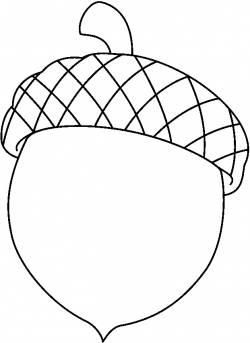 28+ Collection of Acorn Drawing Outline | High quality, free ...