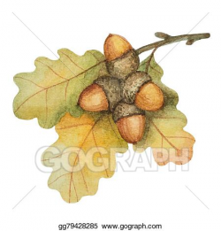Vector Art - Watercolor oak branch with acorns. Clipart Drawing ...