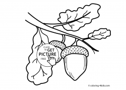 Acorn Coloring Page# 1896462