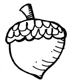 Free Acorn Drawing, Download Free Clip Art, Free Clip Art on ...